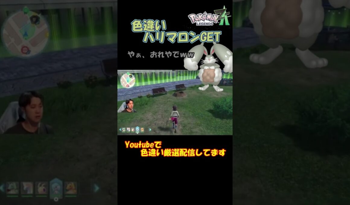 マジ？！ハリマロンの色違い神引きした！！！【ポケモンZA】　#short #ポケモン色違い #ポケモン #ポケモンza