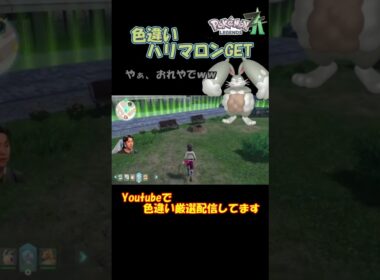 マジ？！ハリマロンの色違い神引きした！！！【ポケモンZA】　#short #ポケモン色違い #ポケモン #ポケモンza