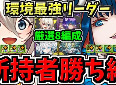 【所持者"超ラッキー"】史上最高の強化を貰った環境最強リーダー厳選8体！編成ごとに解説！激アツです！パズドラ最新情報解説【パズドラ】