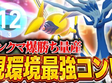 『ゼルネアス×メガエアームド』のWエース構築が今環境の答えです！【ポケモンZA】