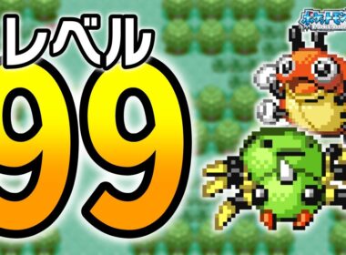 レディバ・イトマルLv.99で冒険始めたらルビサファはキツい？ヌルい？