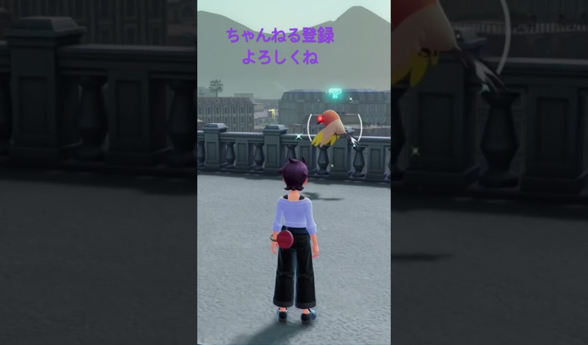 色違いヤヤコマ発見!オヤブン #色違いポケモン #ポケモン #ゲーム実況 #ポケモンレジェンズza