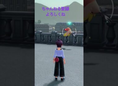 色違いヤヤコマ発見!オヤブン #色違いポケモン #ポケモン #ゲーム実況 #ポケモンレジェンズza