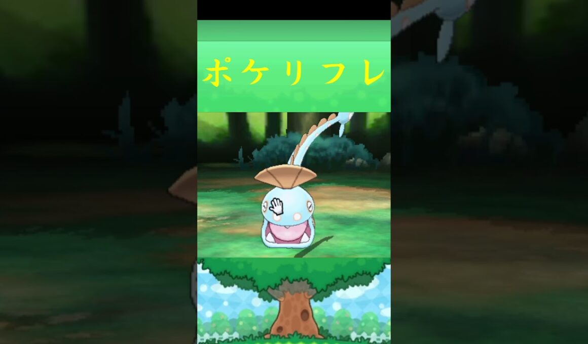 ハンテール*ポケモン ポケリフレ ポケパルレ #ポケモン #Pokemon  #3DS #nintendoswitch #ポケモンsv #ポケモン #キャンプ #サンドイッチ #ピクニック