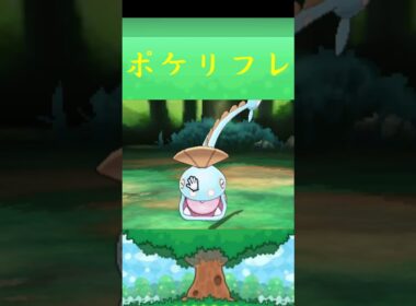 ハンテール*ポケモン ポケリフレ ポケパルレ #ポケモン #Pokemon  #3DS #nintendoswitch #ポケモンsv #ポケモン #キャンプ #サンドイッチ #ピクニック