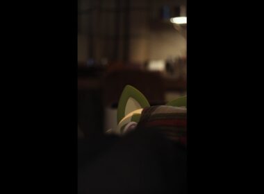 【公式】「ニャオハとのねむりの約束」篇｜『Pokémon Sleep』