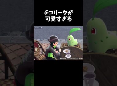 チコリータの表情が可愛すぎる！！『ポケモンZA』　#shorts