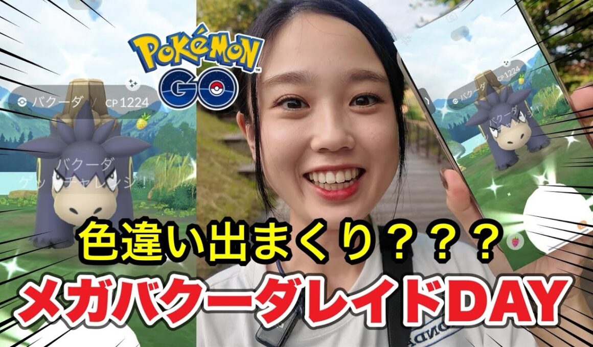 【色違いやすい❓️】メガバクーダレイドデイ✨️😍みんなの結果はどうだった⁉️😂 ポケモンGO Pokémon GO 포켓몬고wild area 2025