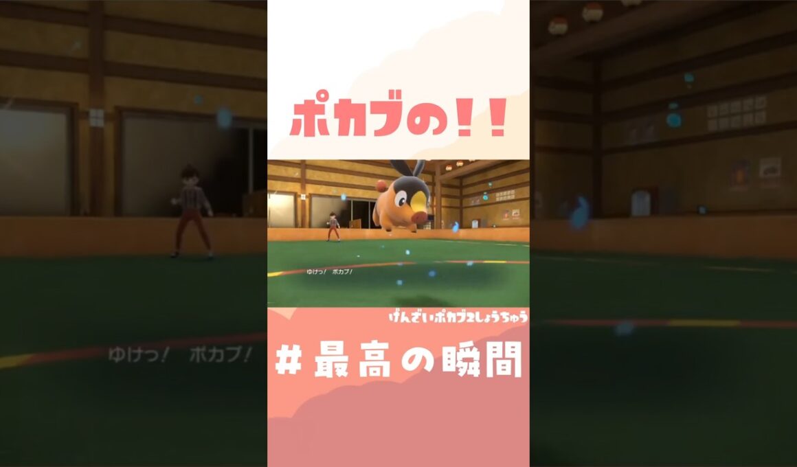【＃前編】ポカブが強すぎてワロタｗｗｗｗｗｗｗ #ポケモン  #ポケモンsv #スカーレットバイオレット 【過去動画ショート】