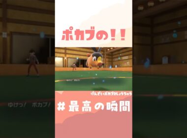 【＃前編】ポカブが強すぎてワロタｗｗｗｗｗｗｗ #ポケモン  #ポケモンsv #スカーレットバイオレット 【過去動画ショート】