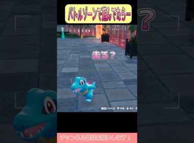 【ポケモンZA】ワニノコと吞気に遊ぶトレーナーに悲劇が！？ #shorts #ポケモンレジェンズ #ポケモンレジェンズza #ポケモン #ワニノコ