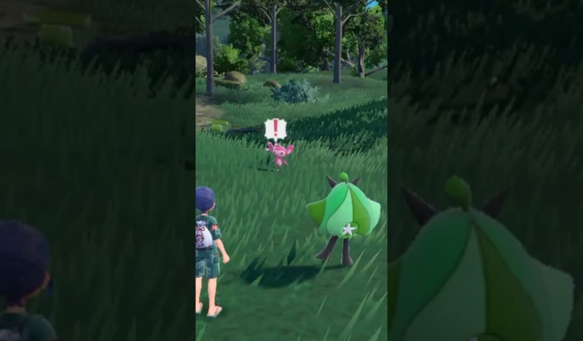 自然遭遇:色違いエイパム編(*'▽'*)