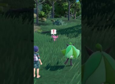 自然遭遇:色違いエイパム編(*'▽'*)