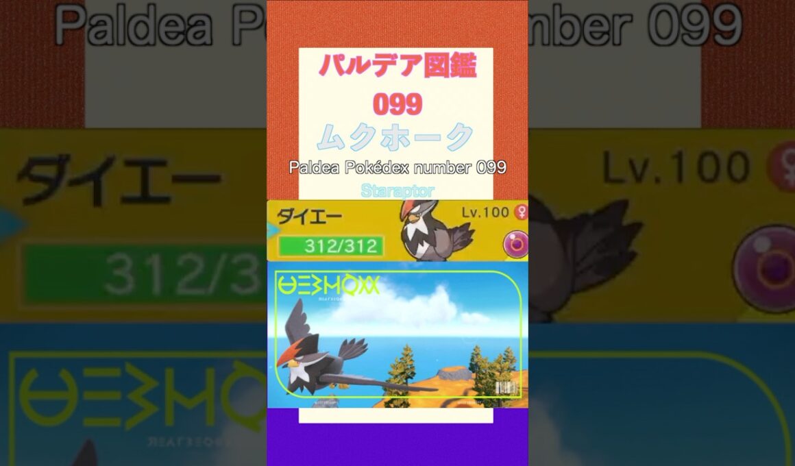 ポケモンSV パルデア図鑑099　ムクホーク　レベル100 #shorts