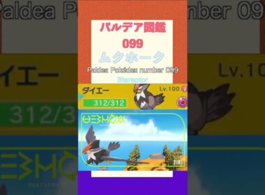 ポケモンSV パルデア図鑑099　ムクホーク　レベル100 #shorts