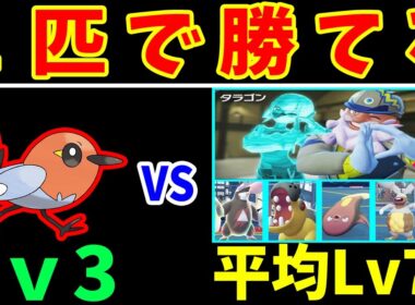 『Lv3ヤヤコマ』。たった１匹でタラゴン（最終強化）を撃破する！？【ゆっくり実況】【ポケモンZA】