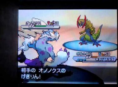 ポケモンBW2 色違い霊獣ランドロス･ボルトロス Pokemon