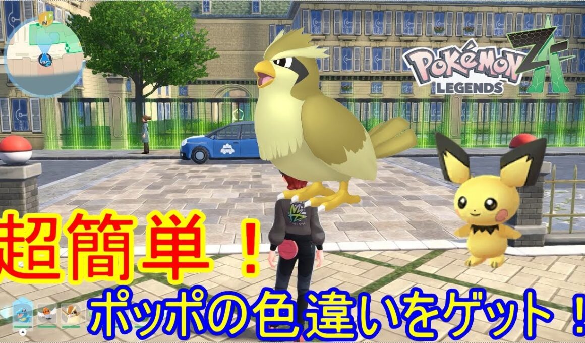 ピチューと一緒にポッポもゲット！色違い厳選ver2!【ポケモンZA】