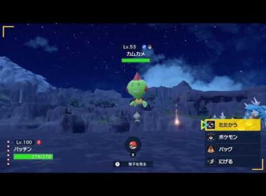 カムカメ　色違い　1~4秒に画面がグルグルと動きます