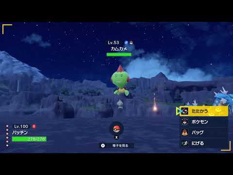 カムカメ　色違い　1~4秒に画面がグルグルと動きます