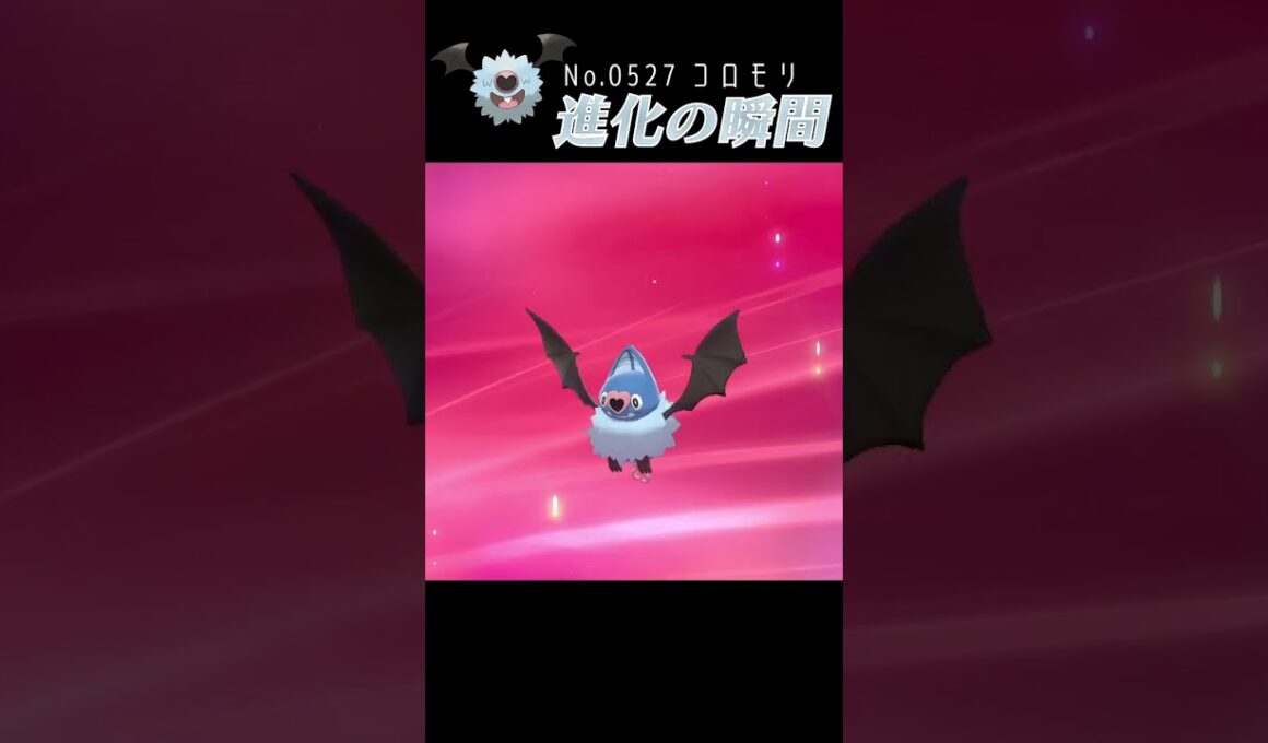 【ポケモン剣盾】コロモリ 進化の瞬間 #shorts