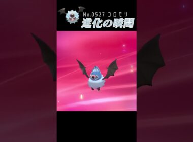 【ポケモン剣盾】コロモリ 進化の瞬間 #shorts