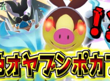 奇跡的に『色違いオヤブンポカブ』まできちゃぁぁぁ！？！じっくり観察してから『メガエンブオー』堪能してきた！！【Pokémon LEGENDS Z-A】