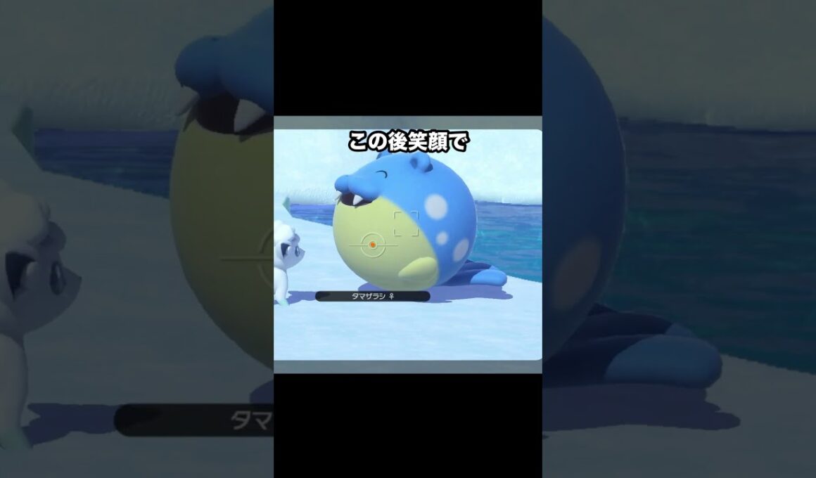 【攻撃力0】ロコンvsタマザラシの赤ちゃん対決 #ポケモン #newポケモンスナップ