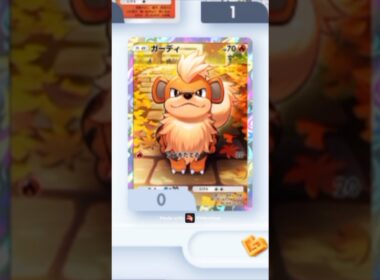 【ポケポケ】3度目の正直！！推しのガーディを絶対にゲットする！！！【ゲットチャレンジ】