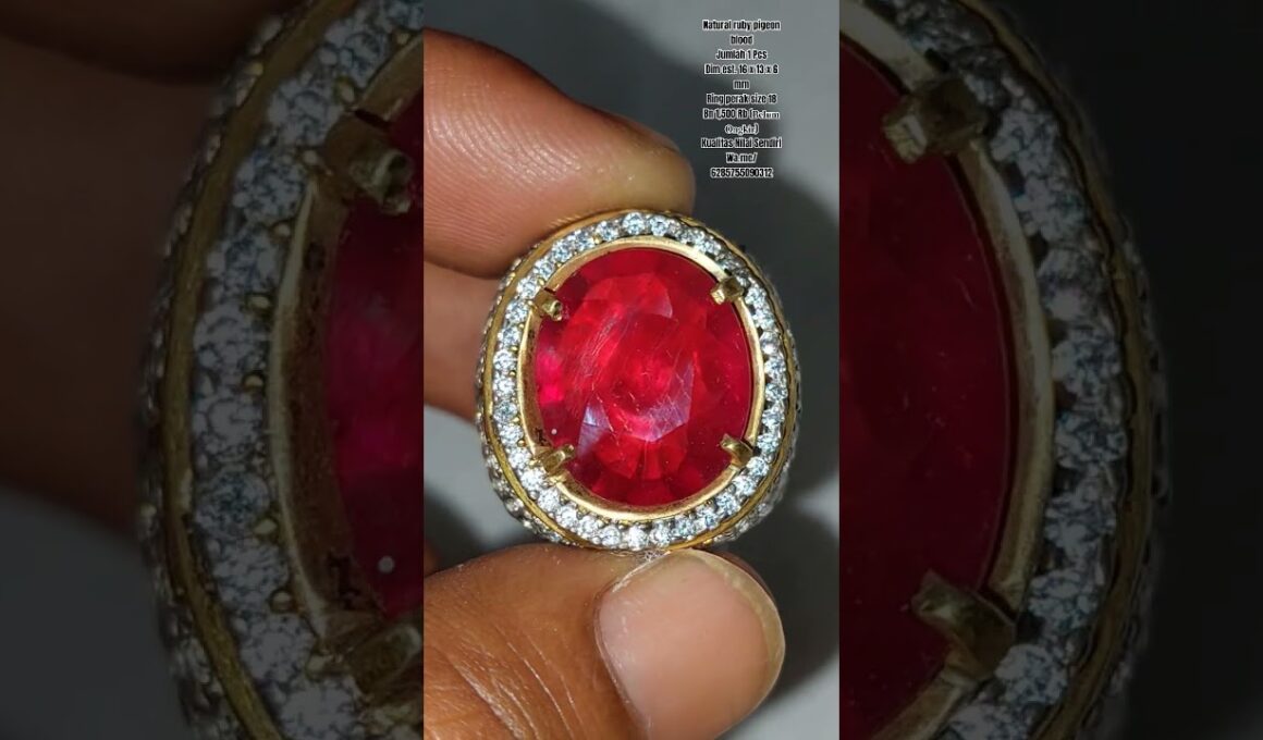 Natural ruby pigeon blood #ruby #pigeon #semuaorang