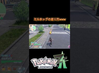 ミルホッグの走り方が面白すぎるwww #ポケモン #pokemon #ポケモンレジェンズza #nintendo #ゲーム