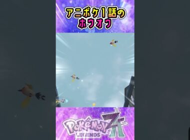 空に消えた色違いヤヤコマ×2👼