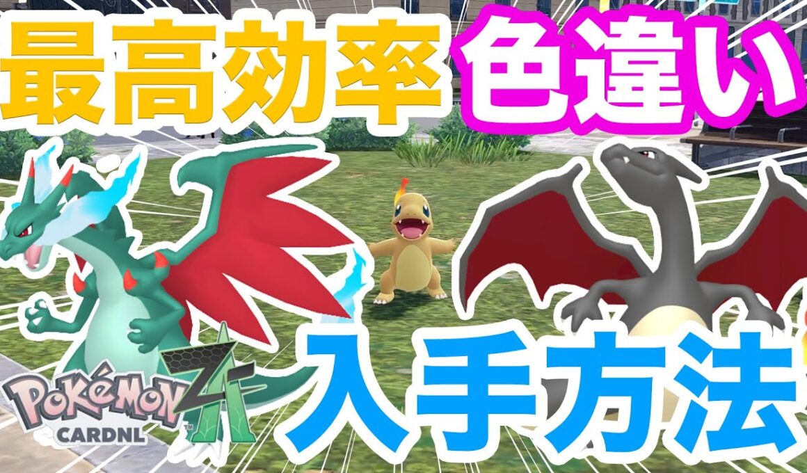【ポケモンZA】簡単すぎる！色違いヒトカゲの入手方法を解説！色違いメガリザードンに進化させてランクバトルで対戦しよう！
