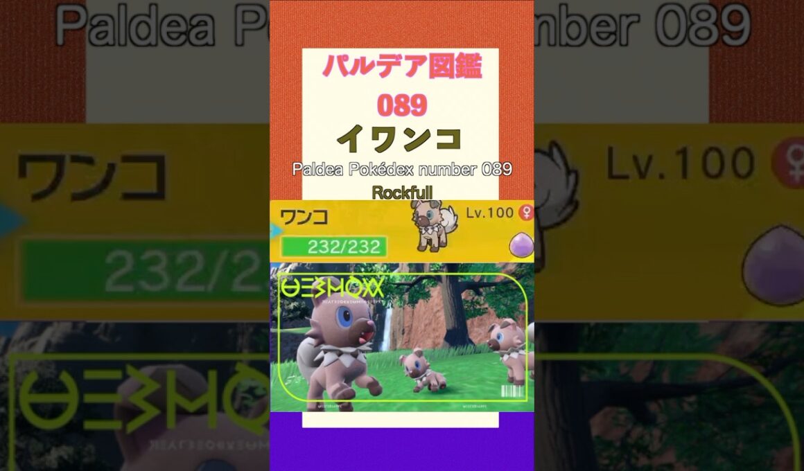 ポケモンSV パルデア図鑑089　イワンコ　レベル100 #shorts