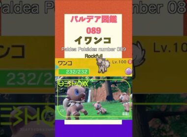 ポケモンSV パルデア図鑑089　イワンコ　レベル100 #shorts
