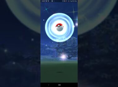 2022.3.8.のポケモンgoのミジュマル