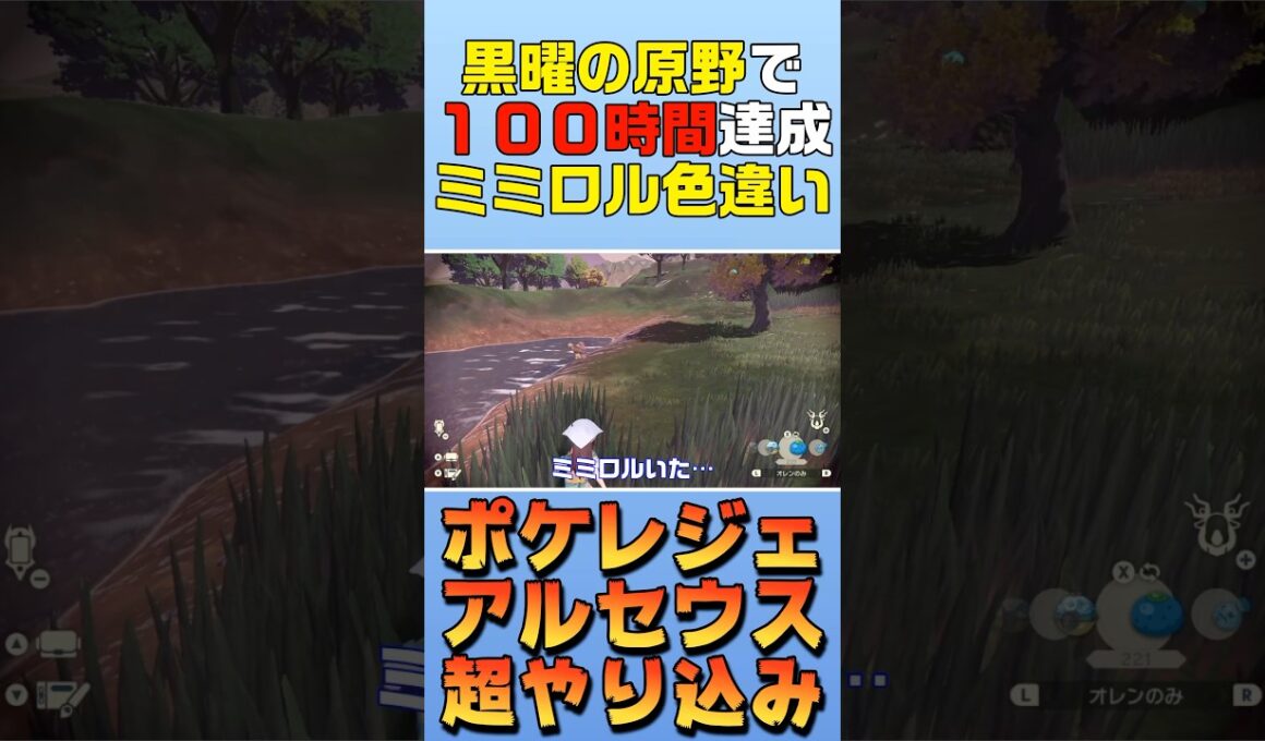 【色違い】ミミロルの色違いをゲットした日【ポケモンレジェンズアルセウス】