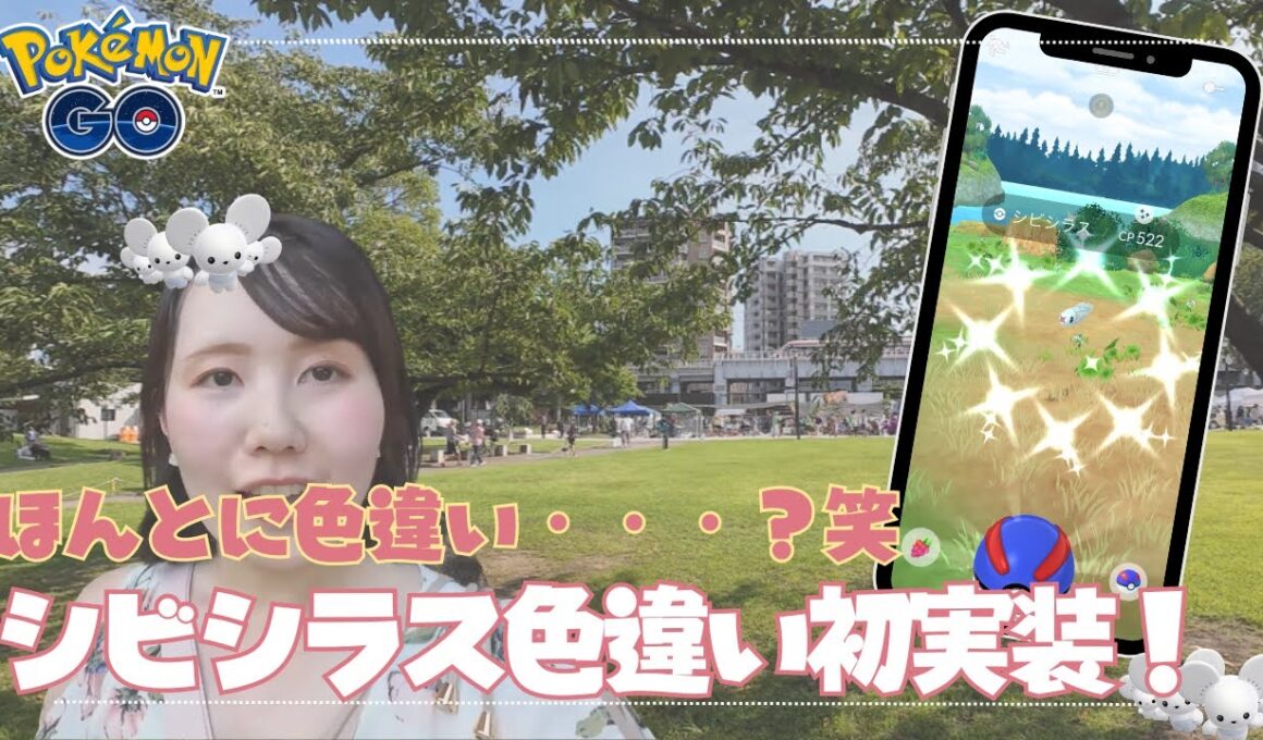 【コミュディ】シビシラス色違い初実装！全然見分けつかないけど本当に色違い？？