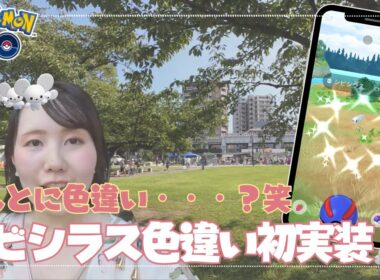 【コミュディ】シビシラス色違い初実装！全然見分けつかないけど本当に色違い？？