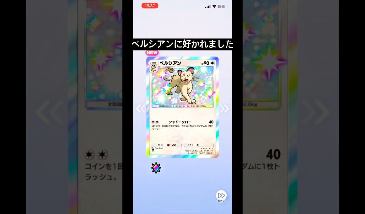 ペルシアンに好かれました#ぽけぽけ #ポケポケ