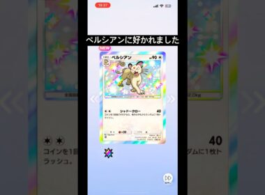 ペルシアンに好かれました#ぽけぽけ #ポケポケ