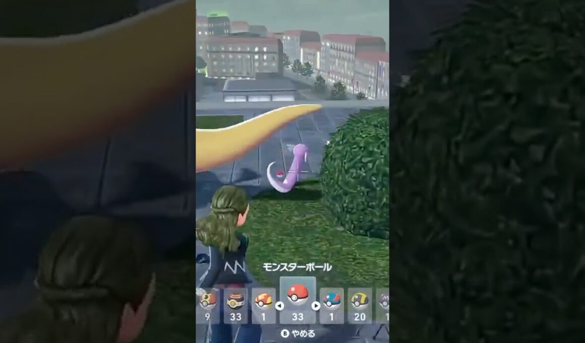 色違いミニリュウと色違いマダツボミが欲しいんでベンチ放置厳選できる場所探しました。もし見つけたら自分で新しいメガ進化を体験しよう。【ポケモンZA】