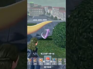 色違いミニリュウと色違いマダツボミが欲しいんでベンチ放置厳選できる場所探しました。もし見つけたら自分で新しいメガ進化を体験しよう。【ポケモンZA】