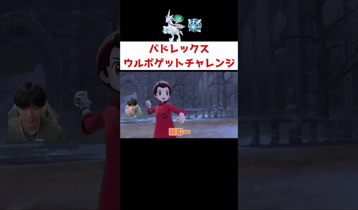 バドレックスウルボゲットチャレンジ！ #ゲーム実況 #shorts #ポケモン #ポケモンSV #剣盾 #バドレックス #オシャボ #厳選