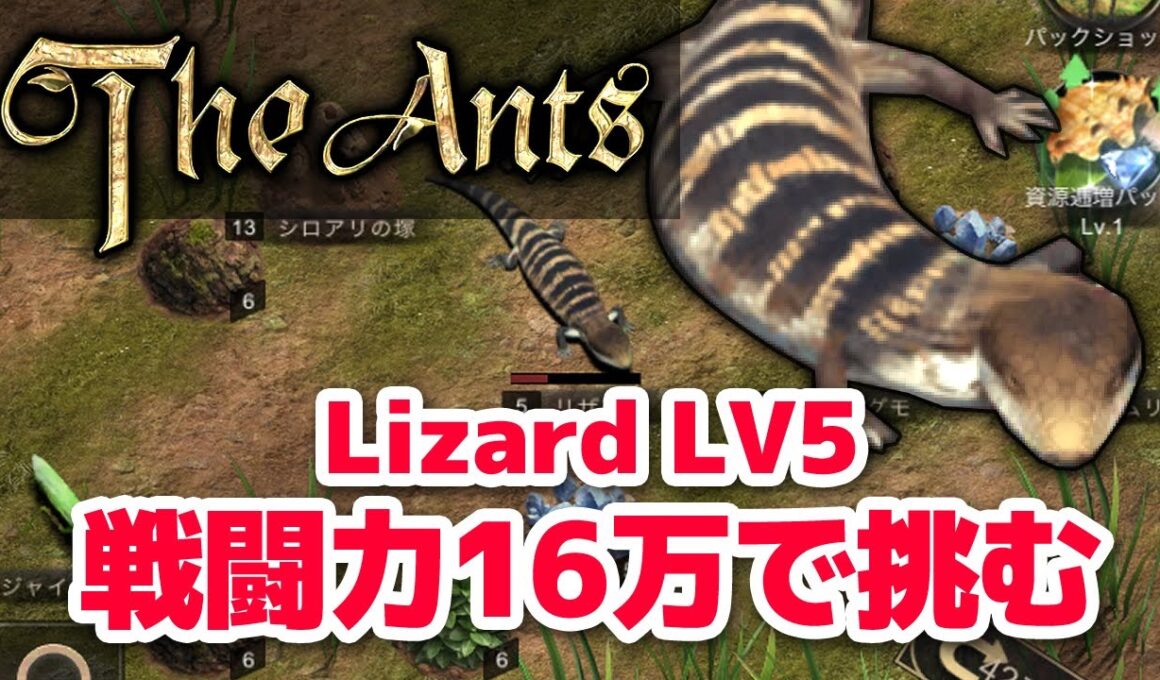 【ザ・アンツ】戦闘力16万になったのでリザードLV5にまた挑む動画【the ants Lizard】 #Shorts