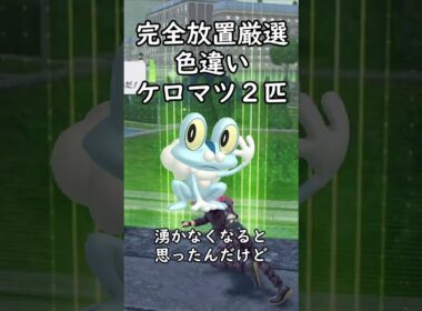 色違いケロマツ２匹完全放置厳選！！【Pokémon LEGENDS Z-A】
