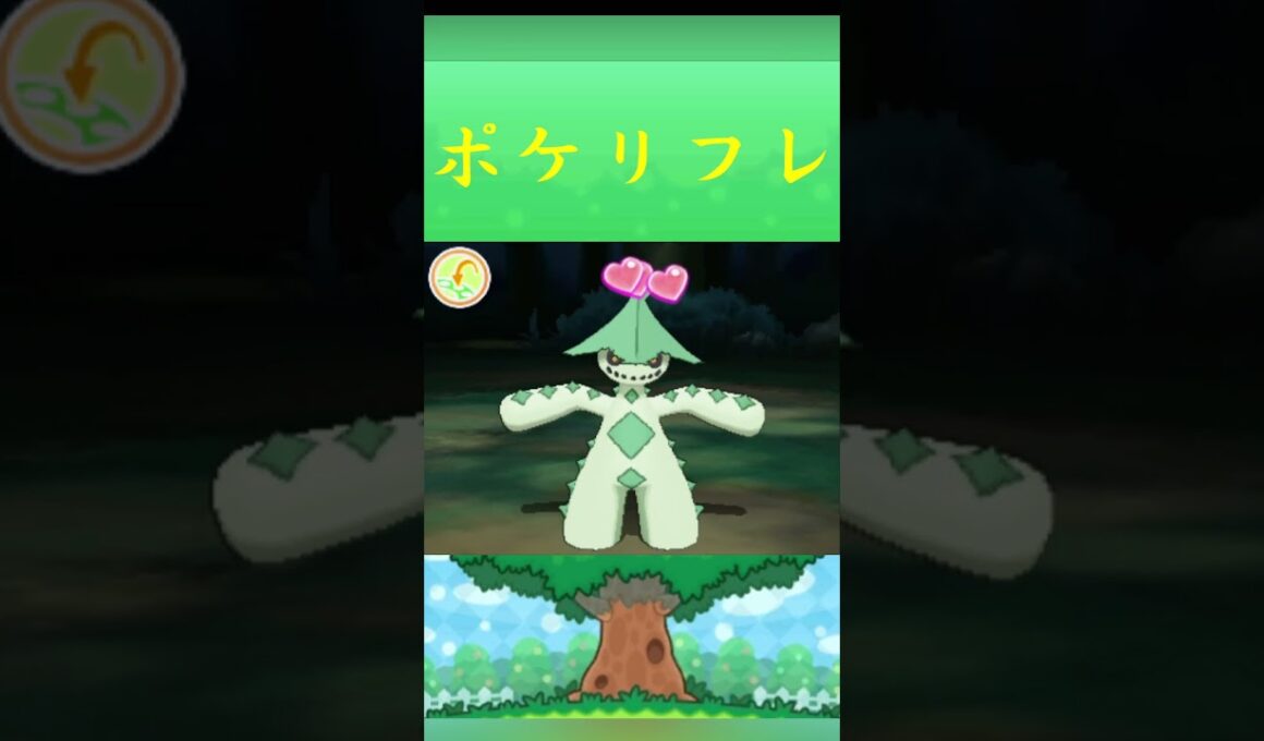 ポケモン ノクタス ポケリフレ ポケパルレ #ポケモン #Pokemon  #3DS #ポケモン技 #ポケモンsv #ポケモン#キャンプ #カレー #サンドイッチ #ピクニック