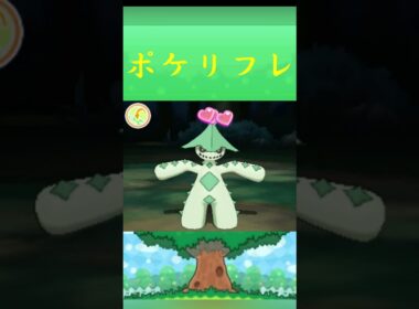 ポケモン ノクタス ポケリフレ ポケパルレ #ポケモン #Pokemon  #3DS #ポケモン技 #ポケモンsv #ポケモン#キャンプ #カレー #サンドイッチ #ピクニック