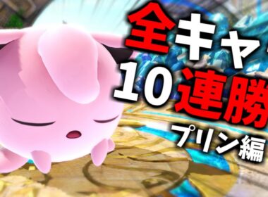 【ファイナルリローデッドデッドオアアライブ】企画倒れてもプリン倒れず。【スマブラSP】