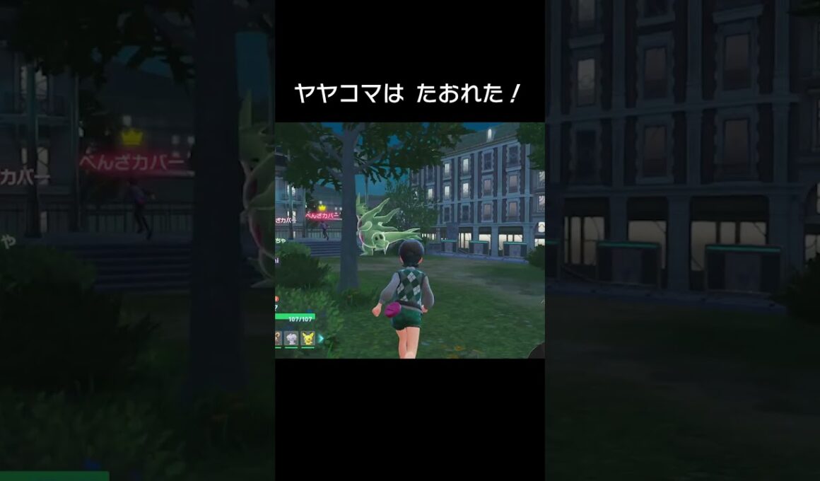 ヤヤコマ！つつけ！ #shorts #pokemonza #pokemon